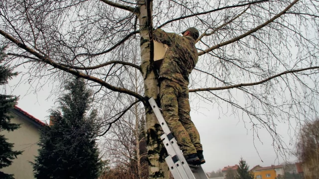 Tczew - Budki lęgowe dla ptaków na Górkach
