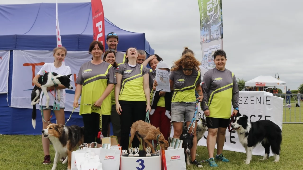 Tczew - Zawody Flyball, czyli wyścig psich sztafet