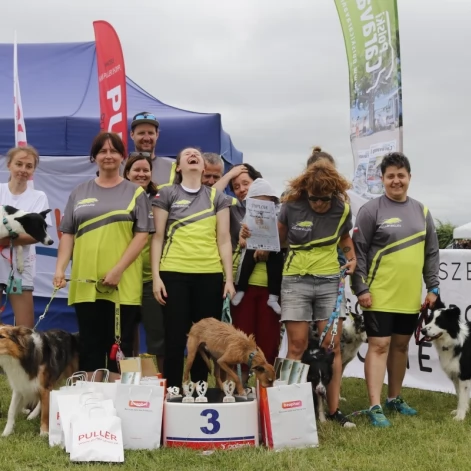Tczew - Zawody Flyball, czyli wyścig psich sztafet