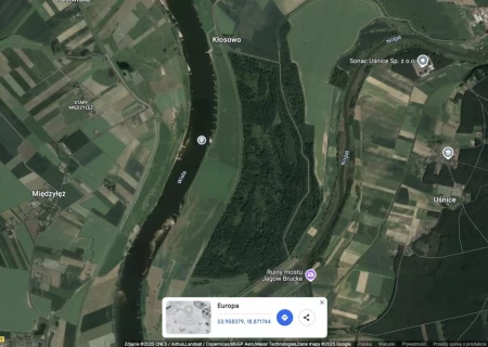 Tczew - Foka pluskała się w Wiśle, zajadając rybę [WIDEO]