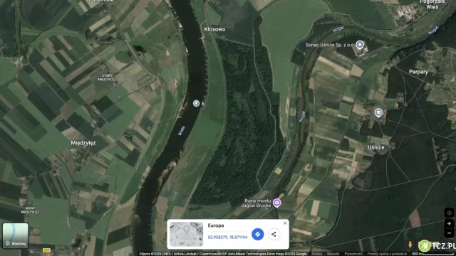 Tczew - Foka pluskała się w Wiśle, zajadając rybę [WIDEO]