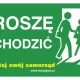 Tczew - Trwa nabór do akcji Masz Głos, Masz Wybór