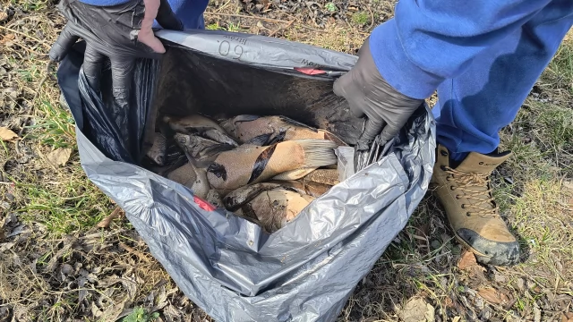Tczew - Skrzyknęli się i sprzątnęli okolice stawku. Przyducha zabiła ryby