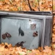 Tczew - Walka z nielegalnymi wysypiskami śmieci wciąż trwa