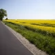 Tczew - Noc Muzeów w Nowym Dworze Gdańskim