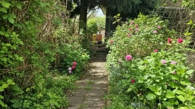 Tczew - Działka ogrodnicza