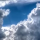Tczew - Zimni ogrodnicy: Może nawet padać śnieg