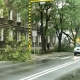 Tczew - Strażacy kilkadziesiąt razy interweniowali z powodu burz