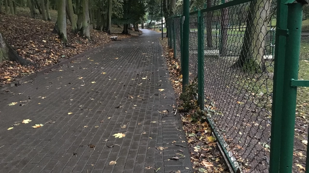 Tczew - Park Miejski jesienią z dnia 7.10.2016