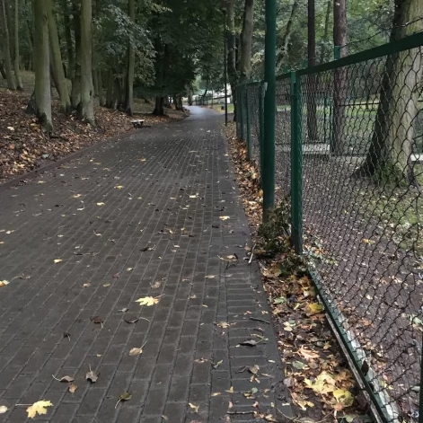 Tczew - Park Miejski jesienią z dnia 7.10.2016