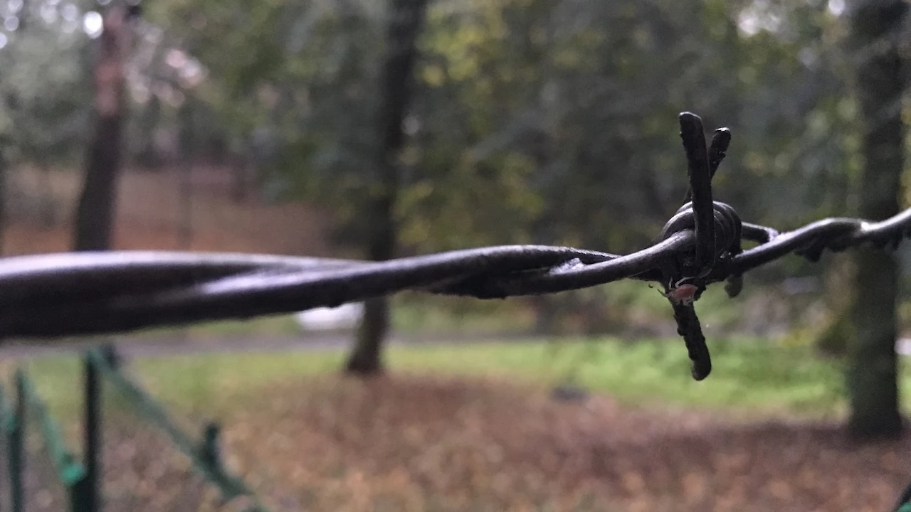 Tczew - Park Miejski jesienią z dnia 7.10.2016
