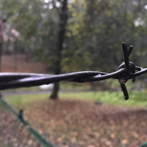 Tczew - Park Miejski jesienią z dnia 7.10.2016