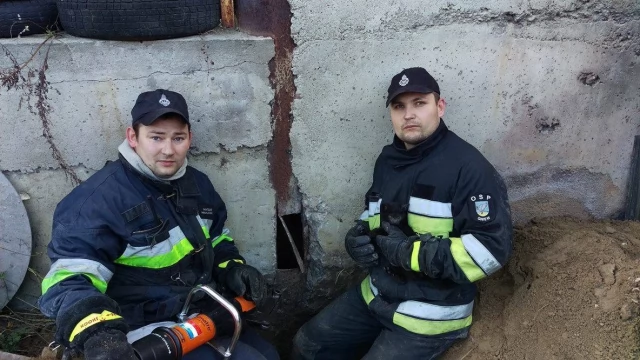 Tczew - Nie miał szans na przeżycie. Na szczęście pomogli strażacy