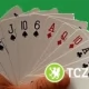 Tczew - Brydż dla każdego