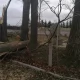Tczew - Drzewa runęły obok pomnika upamiętniającego jedną z pierwszych ofiar wojny