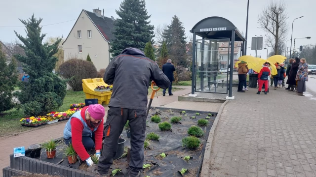 Tczew - Kolejny zielony przystanek na terenie Tczewa