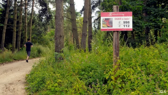Tczew - Strażak ochotnik w porę zauważył pożar lasu