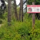 Tczew - Strażak ochotnik w porę zauważył pożar lasu