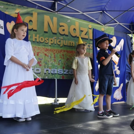 Tczew - XIV Edycja Ogrodów Nadziei - uzbierano ponad 30 tysięcy