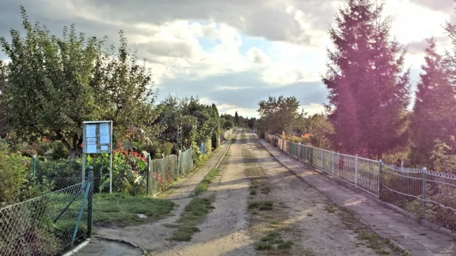 Tczew - Okręgowy Dzień Działkowca i XXII Tczewskie Dożynki Działkowe
