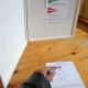 Tczew - Powiat tczewski. Jak głosowali mieszkańcy?