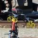 Tczew - Ekologiczna Sztafeta Rowerowa. Będzie happening na placu Hallera