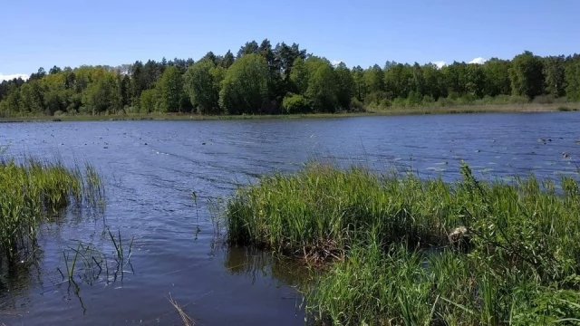 Tczew - Kociewie w obiektywie z okazji święta!