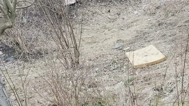 Tczew - Aż trudno uwierzyć, co trafiło do fosy. Opony, meble, materace...
