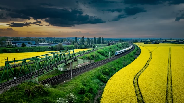 Tczew - "Cztery pory roku w Tczewie". Te zdjęcia trafią do miejskiego kalendarza