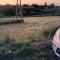 Tczew - Pijani kierujący w rękach policji. Jeden zakończył jazdę w rowie