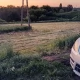 Tczew - Pijani kierujący w rękach policji. Jeden zakończył jazdę w rowie