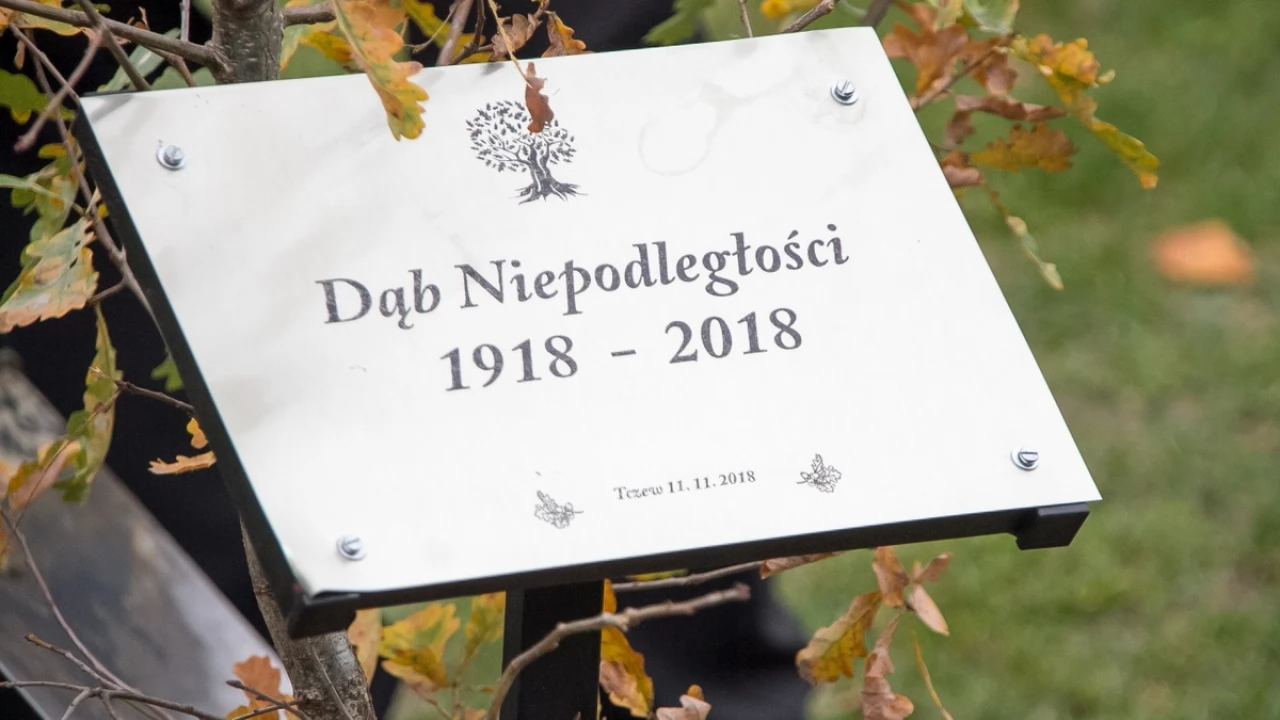 Tczew - Dąb na stulecie niepodległości