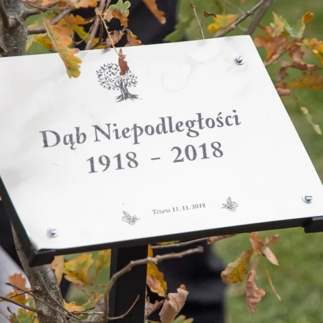 Tczew - Dąb na stulecie niepodległości