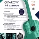 Tczew - Tczewski Festiwal Gitarowy - będą ustanawiać rekord. Metallica zabrzmi na starówce