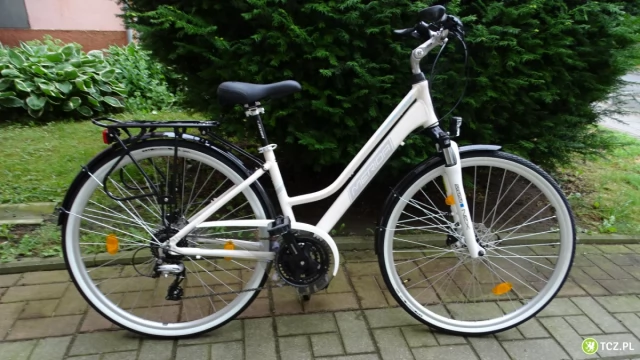 Tczew - Nowy rower damka .