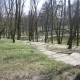 Tczew - Park Miejski zamknięty do odwołania. Szczepienia ochronne przeciw wściekliźnie
