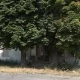 Tczew - Piwiarnia, winiarnia, restauracja? Uda się znaleźć nabywcę na dawny folwark?