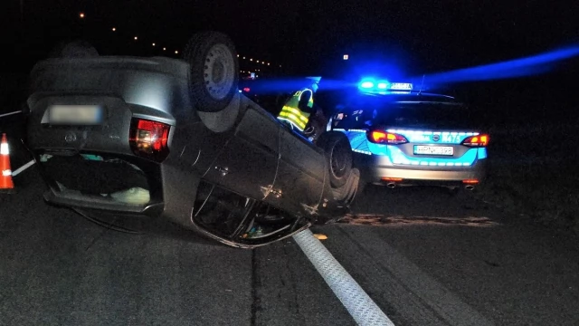 Tczew - Zderzenie 5 aut z łosiem. Policjanci ustalili okoliczności wypadku