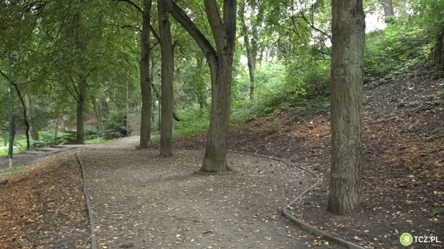 Tczew - Zamiast rozbudowy basenu rewitalizacja trzech parków?