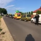 Tczew - Część zwierząt z Radys znalazło azyl w Tczewie
