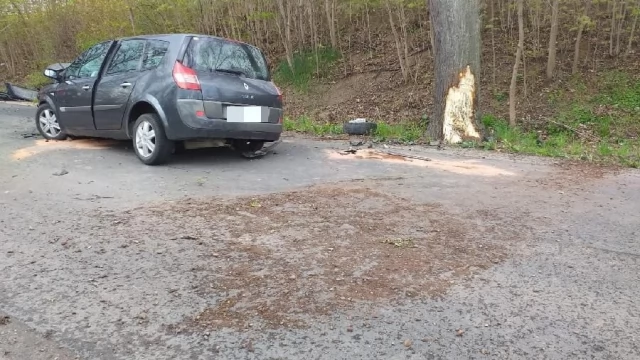 Tczew - Auto uderzyło w drzewo. Matka i kilkuletnie dziecko w szpitalu