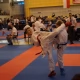 Tczew - Miłosz Sabiecki wicemistrzem, Natalia Kuzioła brązową medalistką Mistrzostw Europy w Karate Shotokan