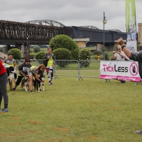 Tczew - Zawody Flyball, czyli wyścig psich sztafet