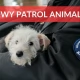 Tczew - Ruszył Zimowy Patrol Animalsów - akcja, która ratuje życie czworonogom w województwie pomorskim!