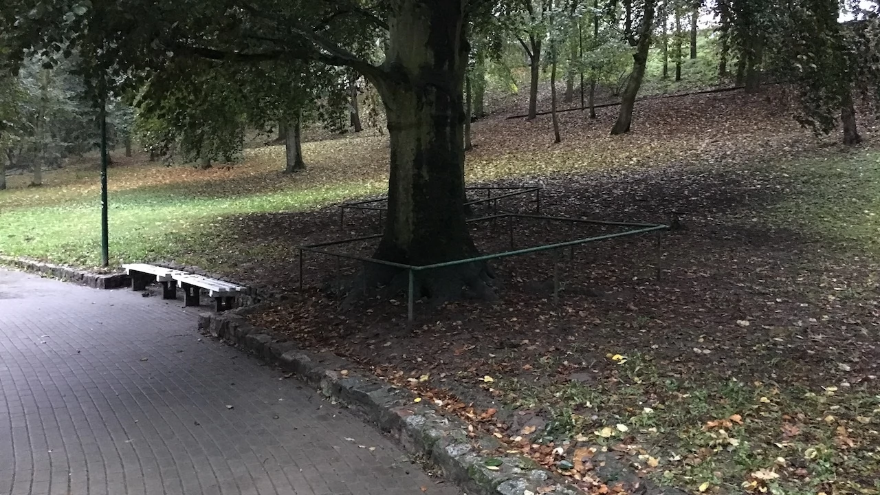 Tczew - Park Miejski jesienią z dnia 7.10.2016