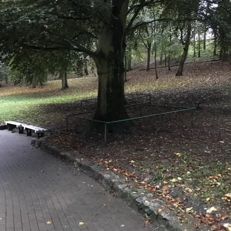 Tczew - Park Miejski jesienią z dnia 7.10.2016