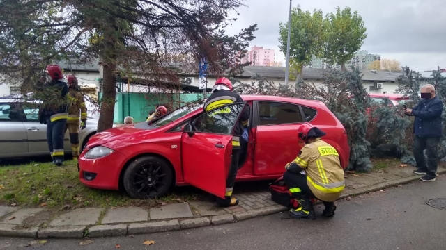 Tczew - Ul. Armii Krajowej. Po zderzeniu z osobówką drzewo spadło na spacerowicza [WIDEO]