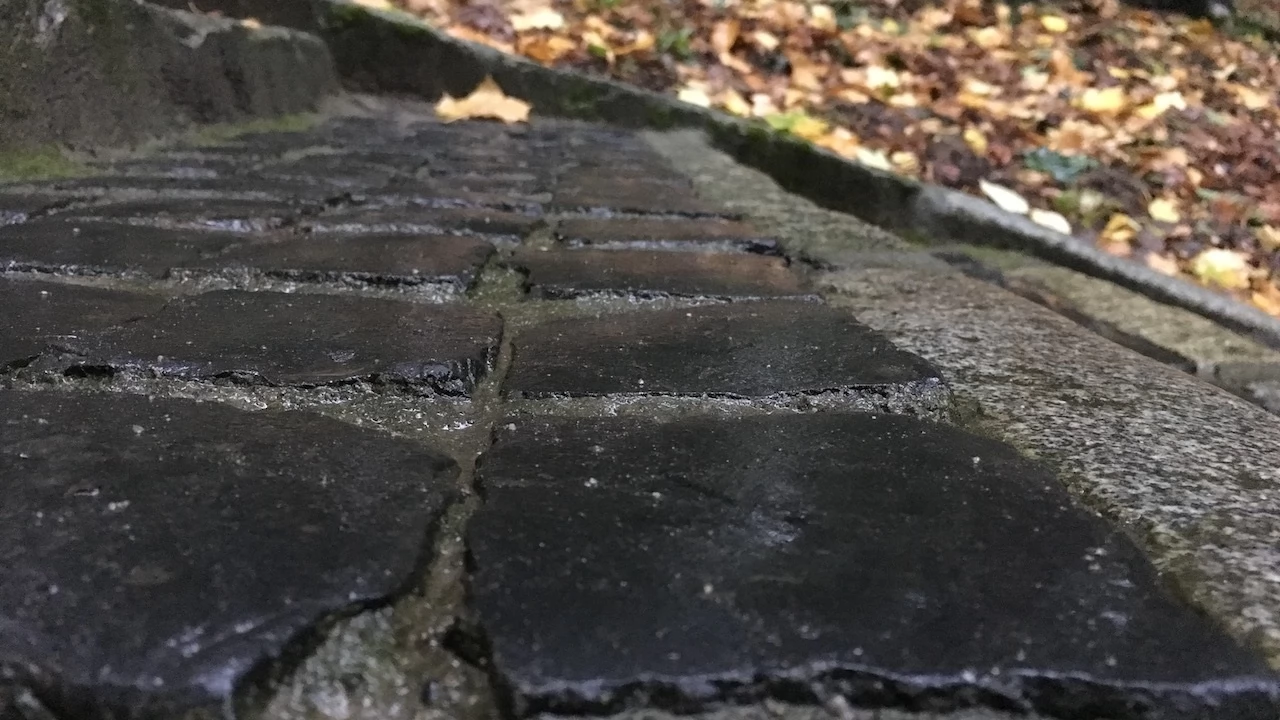 Tczew - Park Miejski jesienią z dnia 7.10.2016