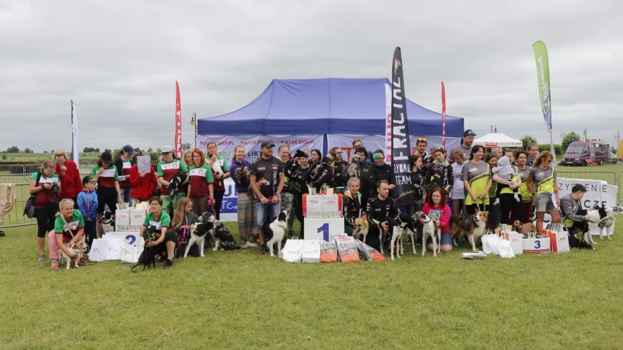 Tczew - Zawody Flyball, czyli wyścig psich sztafet