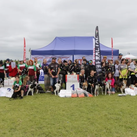 Tczew - Zawody Flyball, czyli wyścig psich sztafet